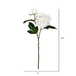 Stems & Bouquets-Kirkland's Home Cream Blooming Peony Stems, Set Of 6 Ivory