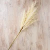 Stems & Bouquets-Kirkland's Home Cream Pampas Grass Stem Ivory