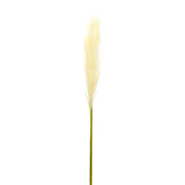 Stems & Bouquets-Kirkland's Home Cream Pampas Stems, Set Of 4 Ivory/Green