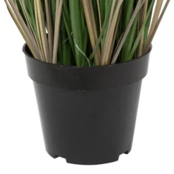 Trees & Topiaries-Kirkland's Home Curled Green Grass Potted Plant