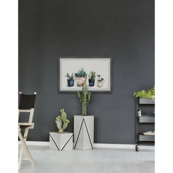 Framed Art-Kirkland's Home Deckled Succulent Row Framed Art Print White/Green/Blue/Brown