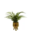 Arrangements & Greenery-Kirkland's Home Desktop Palm Plant In Gold Planter Green/Gold