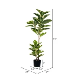 Trees & Topiaries-Kirkland's Home Dieffenbachia Tree In Black Planter