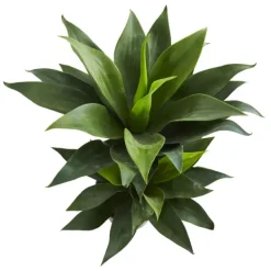 Trees & Topiaries-Kirkland's Home Double Agave Succulent, 29 In.