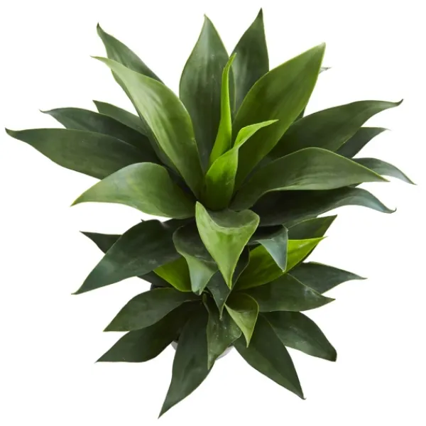 Trees & Topiaries-Kirkland's Home Double Agave Succulent, 29 In.
