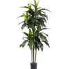 Trees & Topiaries-Kirkland's Home Dracaena Uv Resistant Plant
