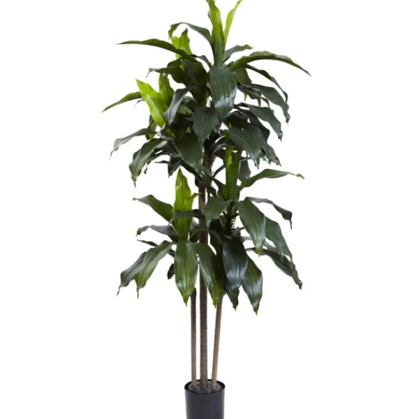 Trees & Topiaries-Kirkland's Home Dracaena Uv Resistant Plant