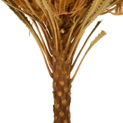 Stems & Bouquets-Kirkland's Home Dried And Dyed Jumbo Banksia Stems, Set Of 3 Gold