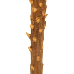 Stems & Bouquets-Kirkland's Home Dried And Dyed Jumbo Banksia Stems, Set Of 3 Gold
