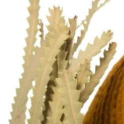Stems & Bouquets-Kirkland's Home Dried Jumbo Banksia Stems, Set Of 3 Gold