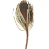 Stems & Bouquets-Kirkland's Home Dried Jumbo Banksia Stems, Set Of 3 Brown
