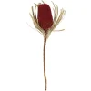 Stems & Bouquets-Kirkland's Home Dried Jumbo Banksia Stems, Set Of 3 Red