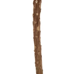 Stems & Bouquets-Kirkland's Home Dried Jumbo Banksia Stems, Set Of 3 Red