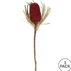 Stems & Bouquets-Kirkland's Home Dried Jumbo Banksia Stems, Set Of 3 Red