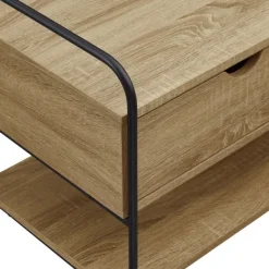 Entryway Furniture-Kirkland's Home Driftwood Shannon 2-Drawer Storage Bench Tan