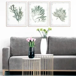 Framed Art-Kirkland's Home Emerald Coral I 3-Pc. Framed Art Print Set White/Green