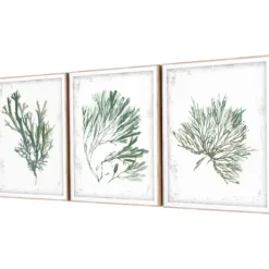 Framed Art-Kirkland's Home Emerald Coral I 3-Pc. Framed Art Print Set White/Green