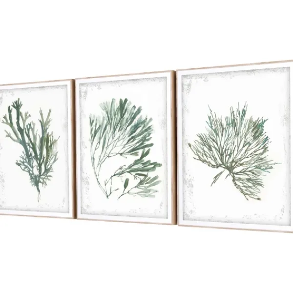 Framed Art-Kirkland's Home Emerald Coral I 3-Pc. Framed Art Print Set White/Green