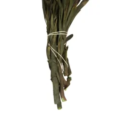 Stems & Bouquets-Kirkland's Home En Preserved Plumosum Flower Bundle Gold