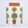 Sachets-Kirkland's Home English Ivy Sachet
