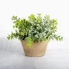 Arrangements & Greenery-Kirkland's Home Ery Arrangement In Terracotta Pot Green