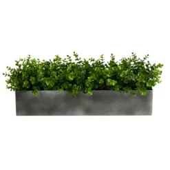 Arrangements & Greenery-Kirkland's Home Eucalyptus Arrangement In Gray Planter Box Green/Gray