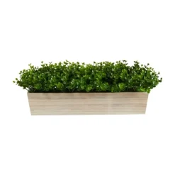 Arrangements & Greenery-Kirkland's Home Eucalyptus Arrangement In Wide Wooden Planter Green/Tan