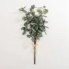 Stems & Bouquets-Kirkland's Home Eucalyptus Leaf Bundles, Set Of 3 Green