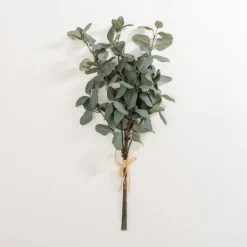 Stems & Bouquets-Kirkland's Home Eucalyptus Leaf Bundles, Set Of 3 Green