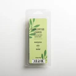 Home Fragrance-Kirkland's Home Eucalyptus Leaves Wax Melts