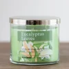Candles-Kirkland's Home Eucalyptus Leaves 3-Wick Jar Candle Green
