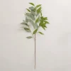 Stems & Bouquets-Kirkland's Home Eucalyptus Spray, 37 In. Green