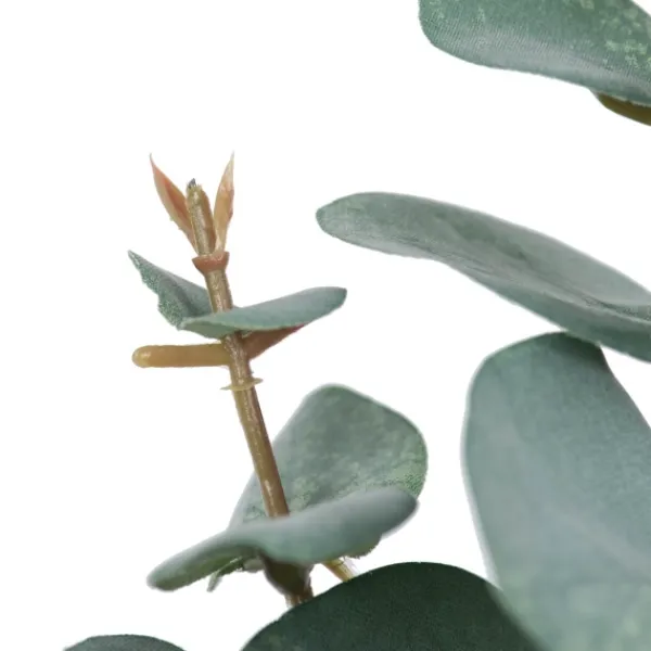 Stems & Bouquets-Kirkland's Home Eucalyptus Sprays, Set Of 3 Green