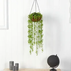 Arrangements & Greenery-Kirkland's Home Eucalyptus Vines Hanging Basket Green
