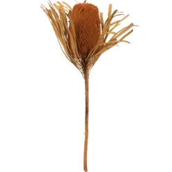 Stems & Bouquets-Kirkland's Home Fall Dried And Dyed Jumbo Banksia Stems, Set Of 3 Orange