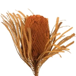Stems & Bouquets-Kirkland's Home Fall Dried And Dyed Jumbo Banksia Stems, Set Of 3 Orange