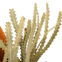 Stems & Bouquets-Kirkland's Home Fall Dried Jumbo Banksia Stems, Set Of 3 Orange