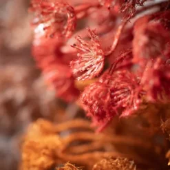 Stems & Bouquets-Kirkland's Home Fall Queen Anne'S Lace Orb Stems, Set Of 3 Red/Orange/Gray