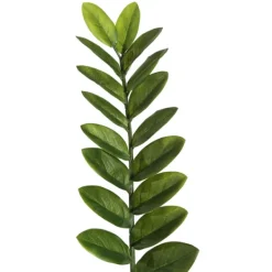 Trees & Topiaries-Kirkland's Home Faux Zamifolia Bush Potted Plant