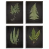 Framed Art-Kirkland's Home Fern Framed Art Prints, Set Of 4 Black/Green