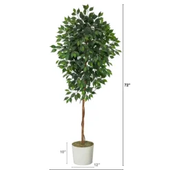 Trees & Topiaries-Kirkland's Home Ficus Tree With Moss In White Tin Planter