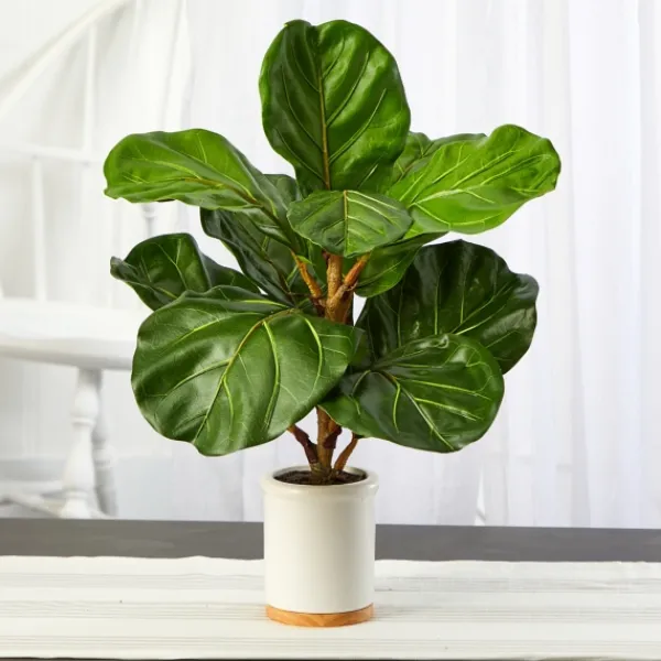 Trees & Topiaries-Kirkland's Home Fiddle Leaf Fig In White Ceramic Planter, 21 In.