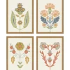 Framed Art-Kirkland's Home Flourish Framed Art Prints, Set Of 4 Multi