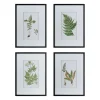 Framed Art-Kirkland's Home Framed Fern Art Prints, Set Of 4 White/Green