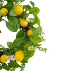 Wreaths-Kirkland's Home Fresh Daisies And Lemons Wreath Green/Yellow/White