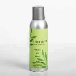 Home Fragrance-Kirkland's Home Fresh Eucalyptus Leaves Room Spray
