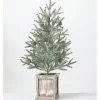 Trees & Topiaries-Kirkland's Home Frosted Pinecone Tree In Whitewash Planter, 24 In. Green/White/Brown