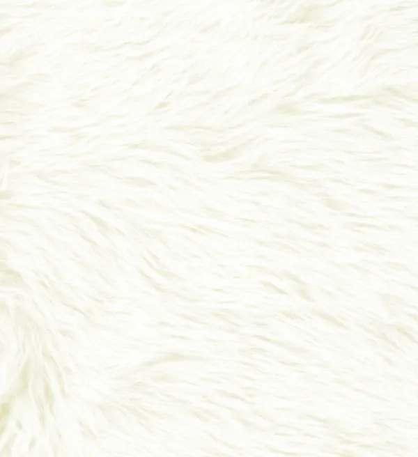 Benches & Ottomans-Kirkland's Home Fur Storage Bench White