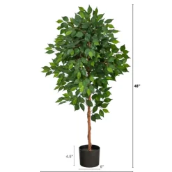Trees & Topiaries-Kirkland's Home Glossy Leaf Ficus Tree In Black Nursery Planter