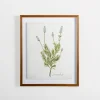 Framed Art-Kirkland's Home Golden Leaves Herbs Lavender Framed Art Print White/Green